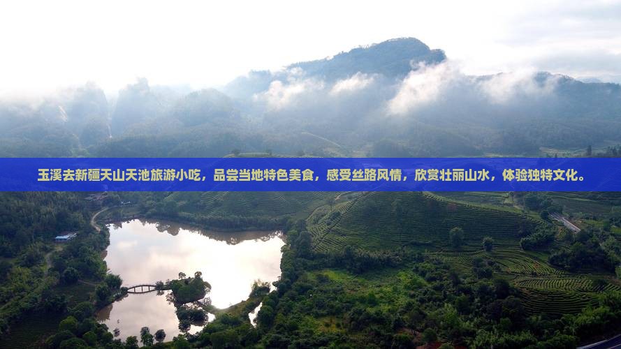 玉溪去新疆天山天池旅游小吃