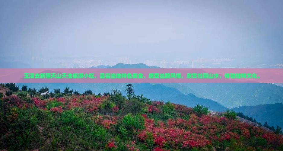 玉溪去新疆天山天池旅游小吃