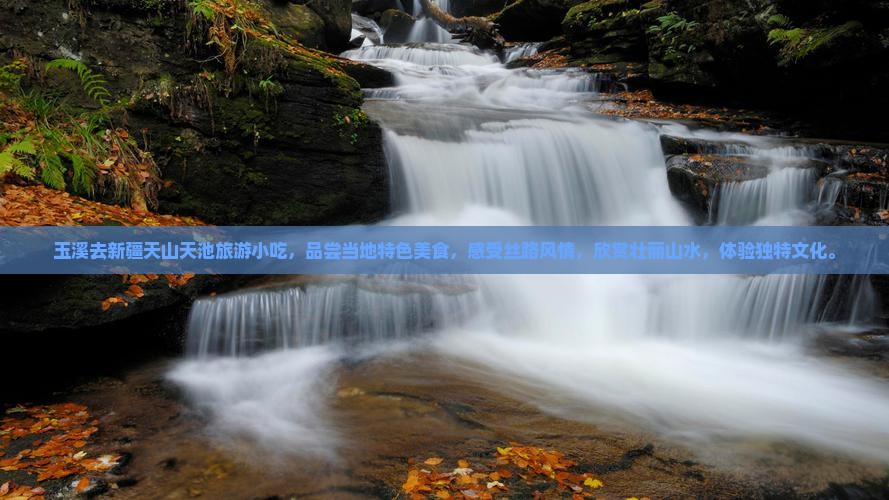 玉溪去新疆天山天池旅游小吃