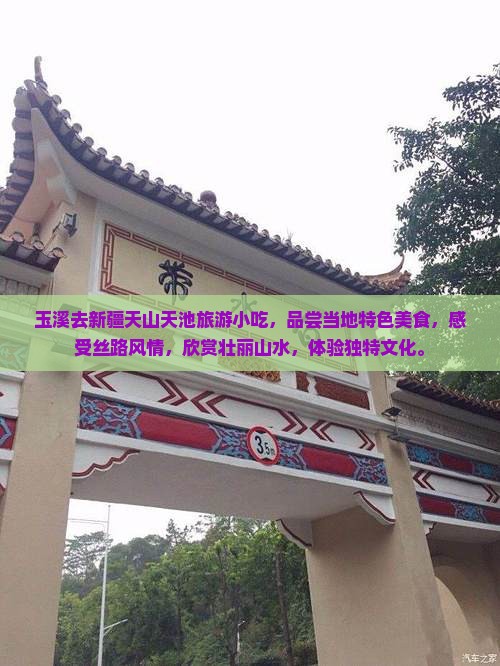 玉溪去新疆天山天池旅游小吃