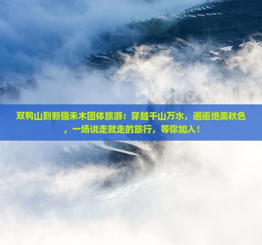 双鸭山到新疆禾木团体旅游