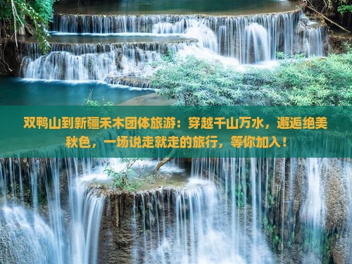 双鸭山到新疆禾木团体旅游