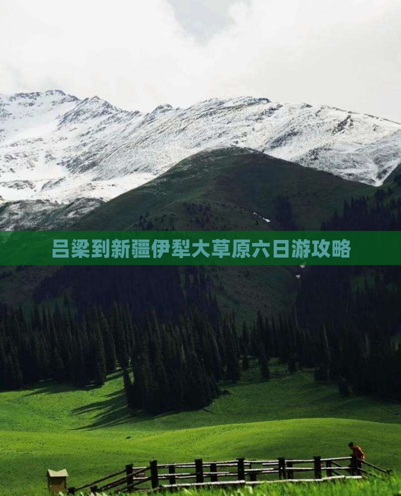 吕梁到新疆伊犁大草原六日游