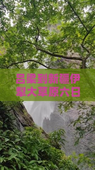 吕梁到新疆伊犁大草原六日游