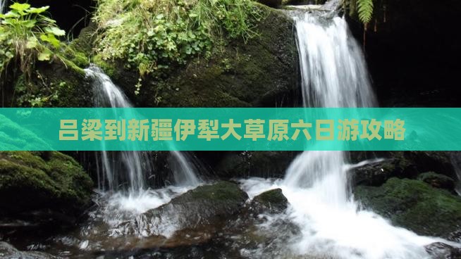 吕梁到新疆伊犁大草原六日游