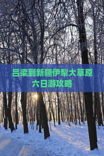 吕梁到新疆伊犁大草原六日游