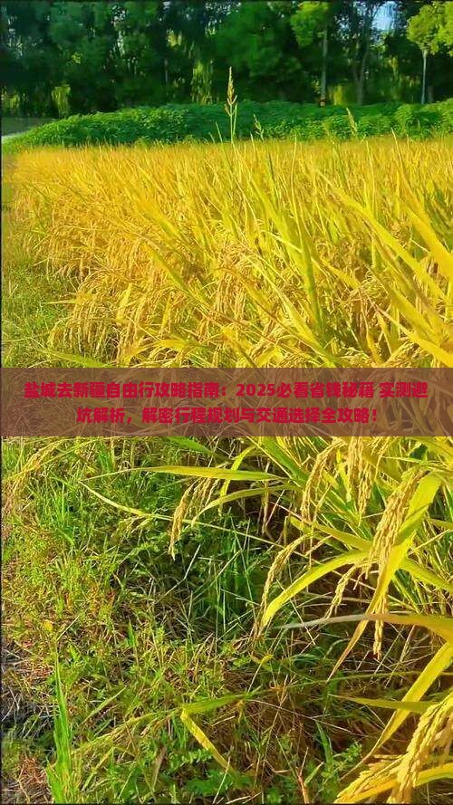 盐城去新疆自由行