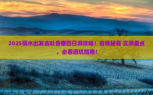 丽水去新疆吐鲁番四日游