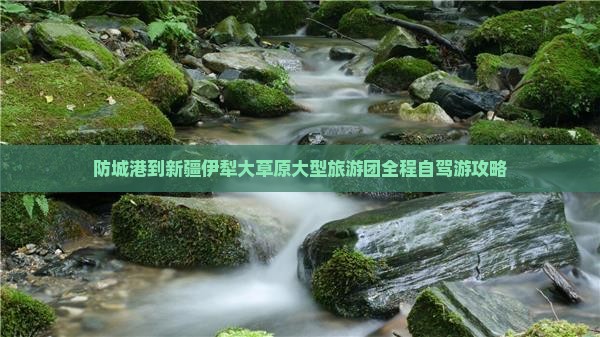 防城港到新疆伊犁大草原大型旅游团
