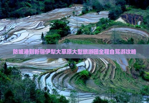 防城港到新疆伊犁大草原大型旅游团