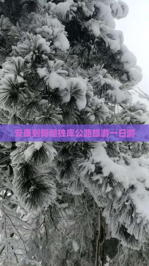 安康到新疆独库公路一日