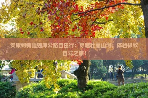安康到新疆独库公路自由行