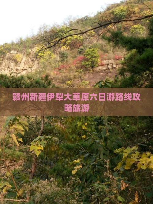 赣州去新疆伊犁大草原六日游