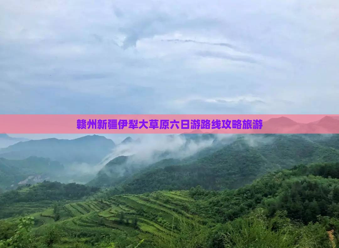 赣州去新疆伊犁大草原六日游