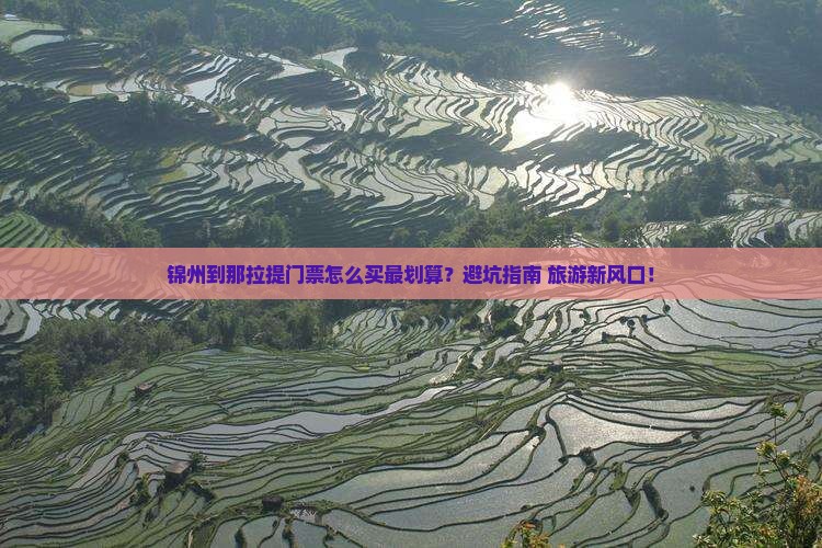 锦州到新疆那拉提门票