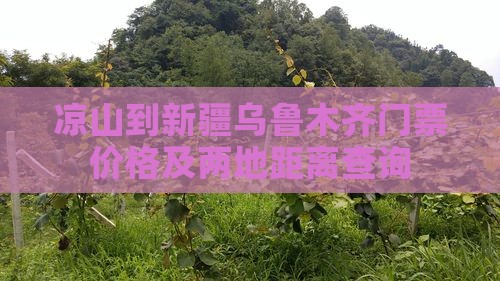 凉山到新疆乌鲁木齐门票价格及两地距离查询