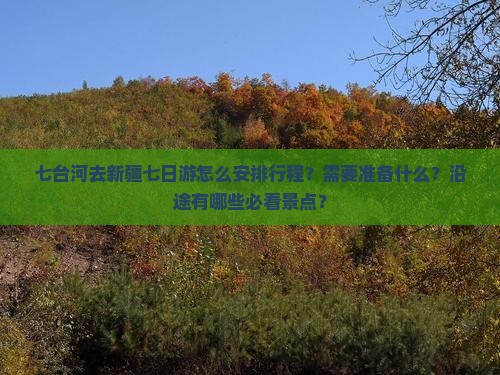 七台河去新疆七日游怎么安排行程？需要准备什么？沿途有哪些必看景点？