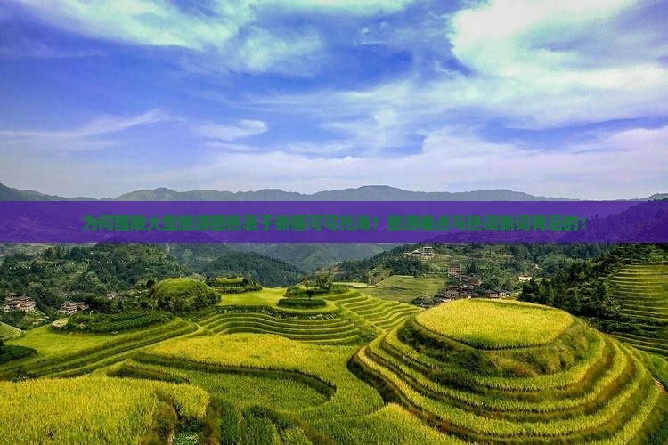 为何醴陵大型旅游团热衷于新疆可可托海？旅游痛点与热词新词背后的！