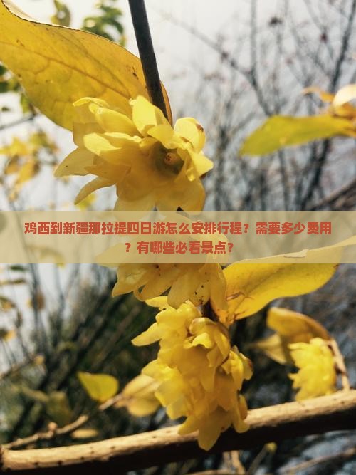 鸡西到新疆那拉提四日游怎么安排行程？需要多少费用？有哪些必看景点？