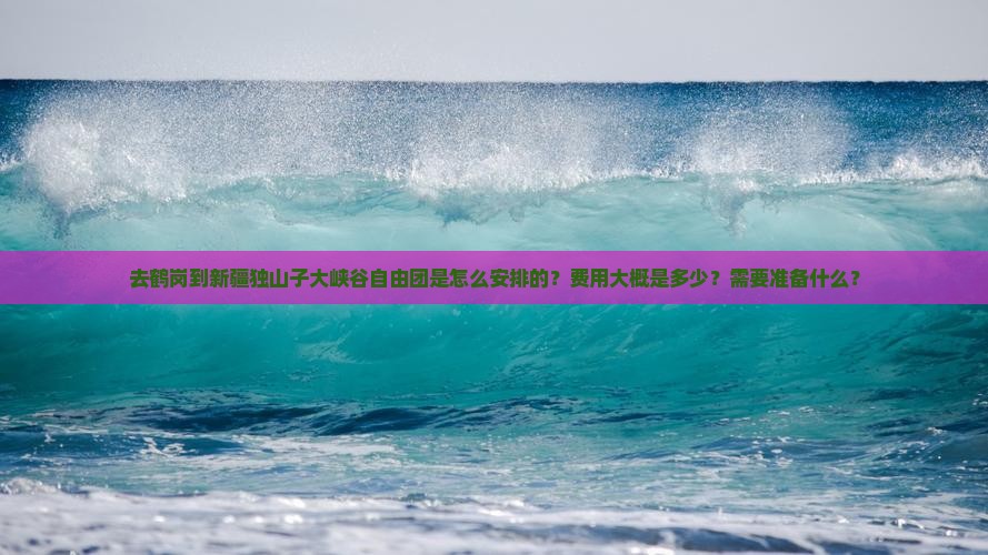 去鹤岗到新疆独山子大峡谷自由团是怎么安排的？费用大概是多少？需要准备什么？