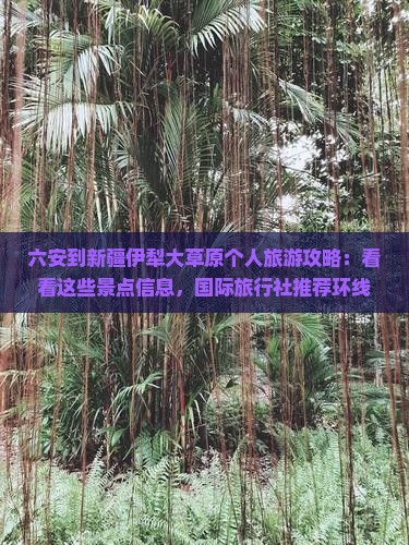 六安到新疆伊犁大草原个人旅游攻略：看看这些景点信息，国际旅行社推荐环线之旅，看完这些就够了