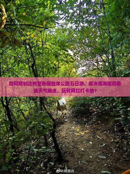如何规划达州至新疆独库公路五日游，解决高海拔和极端天气痛点，玩转网红打卡地？