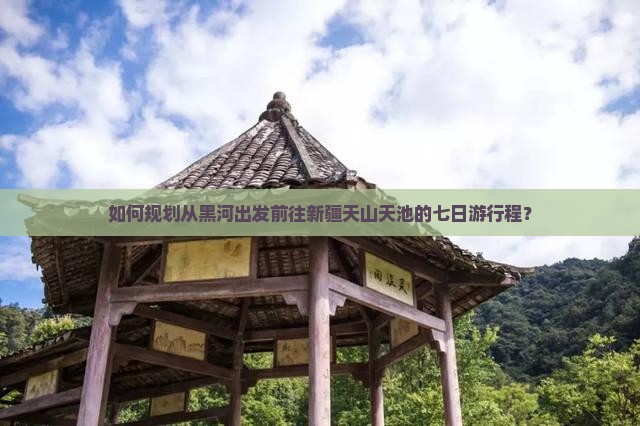 如何规划从黑河出发前往新疆天山天池的七日游行程？