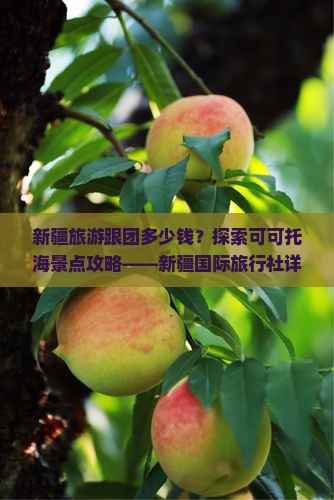 新疆旅游跟团多少钱？探索可可托海景点攻略——新疆国际旅行社详解费用信息及旅行团体行程