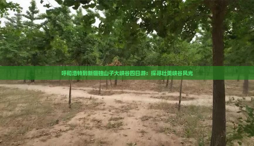 呼和浩特到新疆独山子大峡谷四日游：探寻壮美峡谷风光