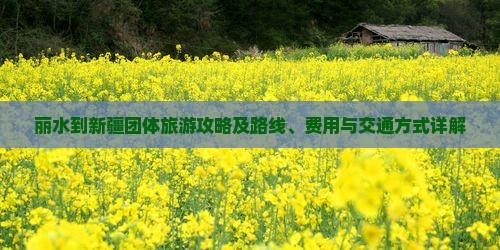 丽水到新疆团体旅游攻略及路线、费用与交通方式详解