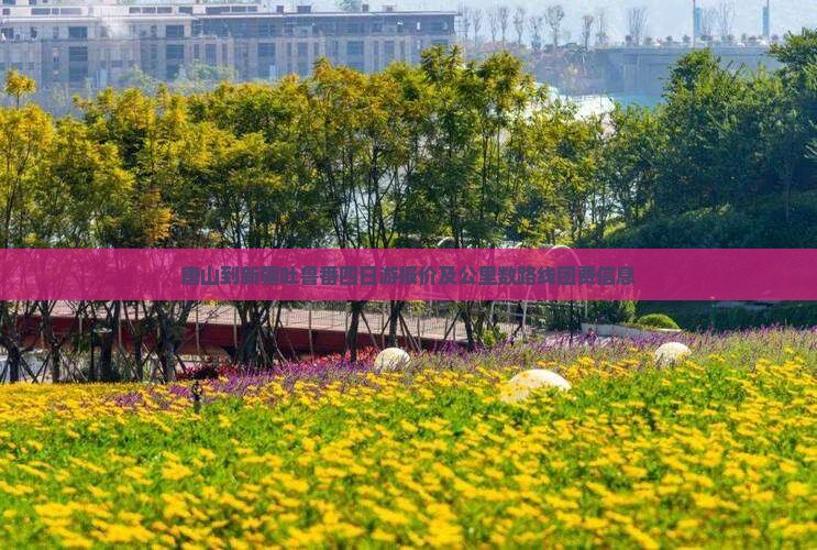 唐山到新疆吐鲁番四日游报价及公里数路线团费信息