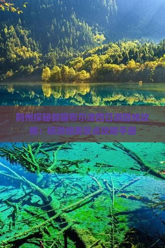 荆州探秘新疆布尔津四日游路线攻略：畅游绝美景点攻略手册