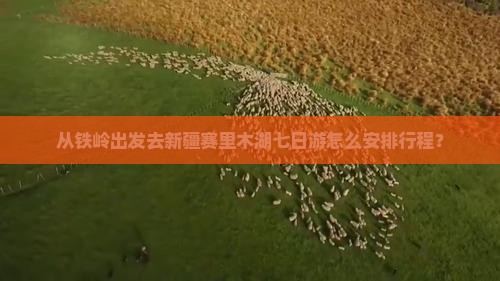 从铁岭出发去新疆赛里木湖七日游怎么安排行程？