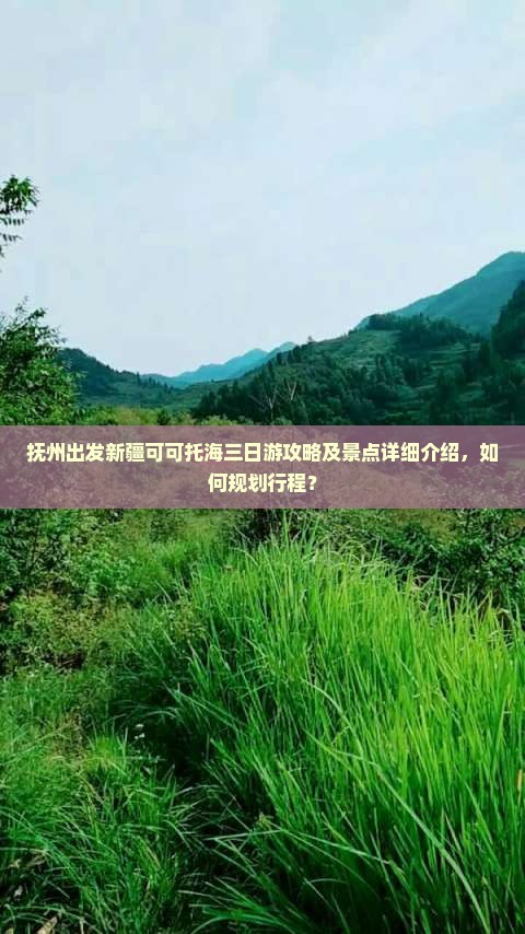 抚州出发新疆可可托海三日游攻略及景点详细介绍，如何规划行程？