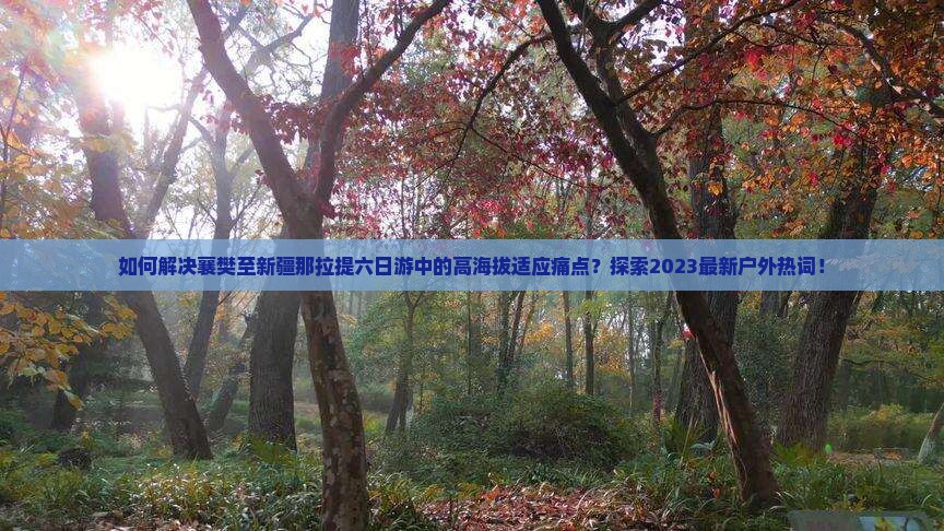 如何解决襄樊至新疆那拉提六日游中的高海拔适应痛点？探索2023最新户外热词！