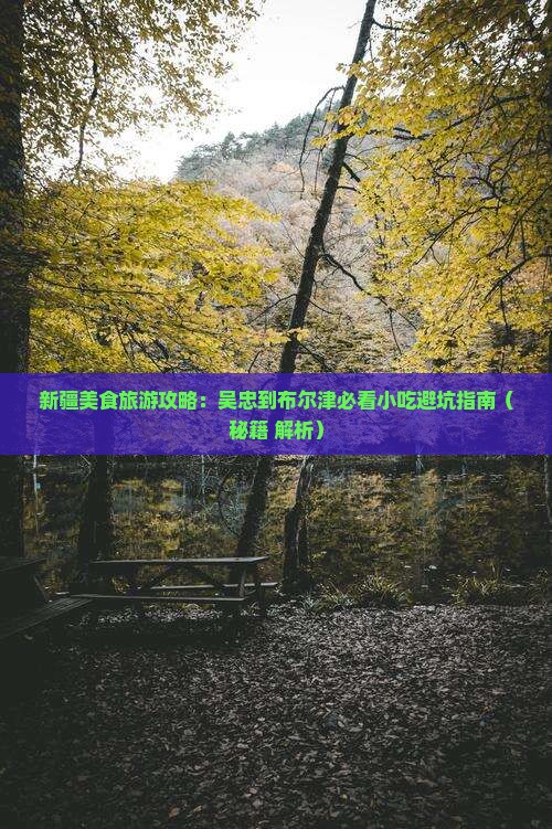 吴忠到新疆布尔津旅游小吃