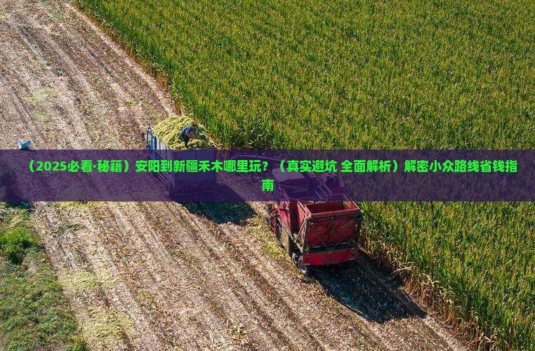 安阳到新疆禾木哪里玩
