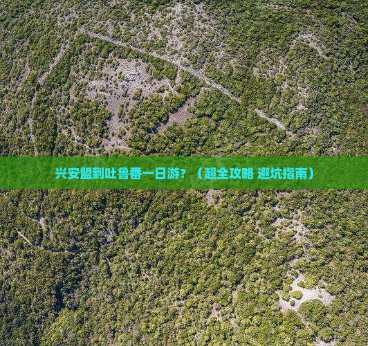 兴安盟到新疆吐鲁番一日