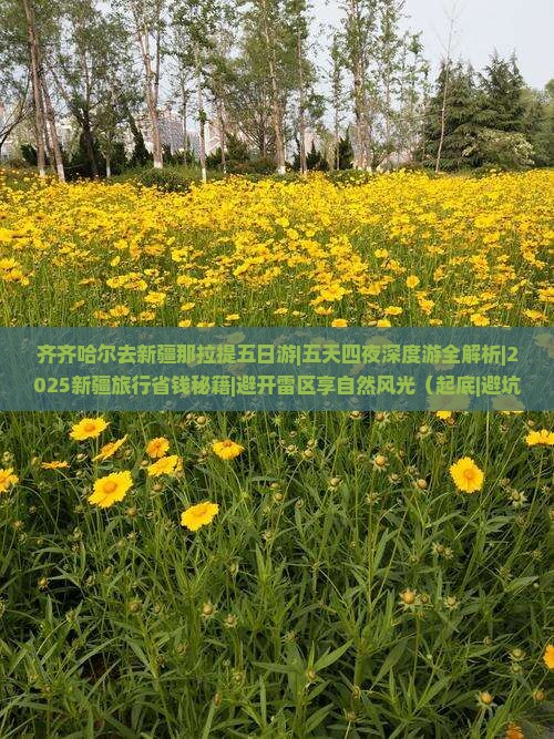 齐齐哈尔去新疆那拉提五日游