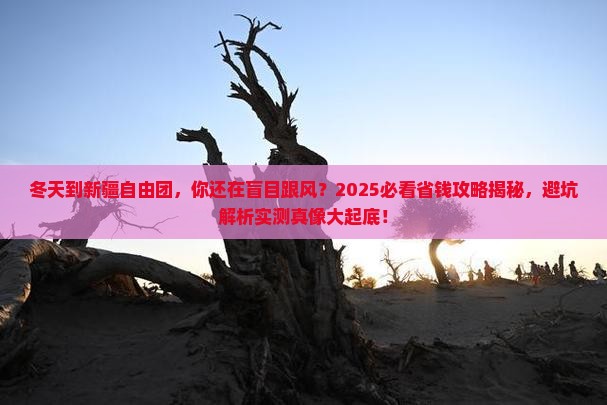 冬天到新疆自由团
