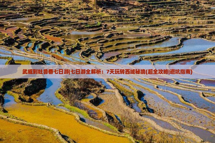 武威到新疆吐鲁番七日游
