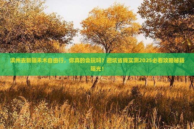 滨州去新疆禾木自由行 滨州去新疆禾木自由行