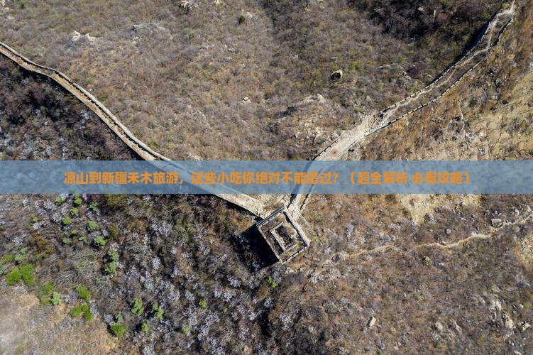 凉山去新疆禾木旅游小吃