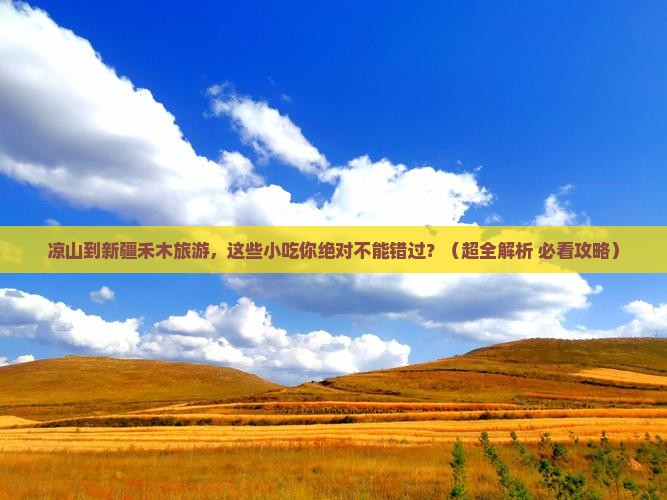 凉山去新疆禾木旅游小吃
