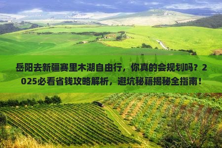 岳阳去新疆赛里木湖自由行