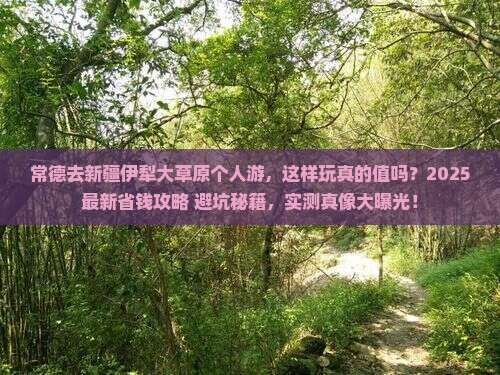 常德去新疆伊犁大草原个人游