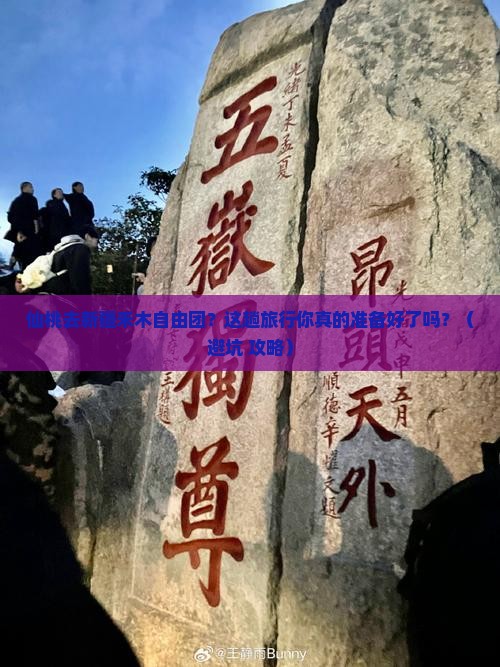 仙桃去新疆禾木自由团