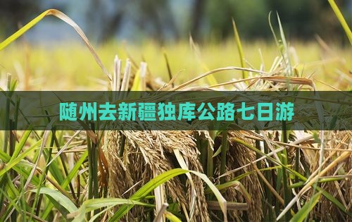 随州去新疆独库公路七日游