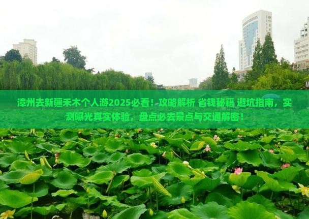 漳州去新疆禾木个人游