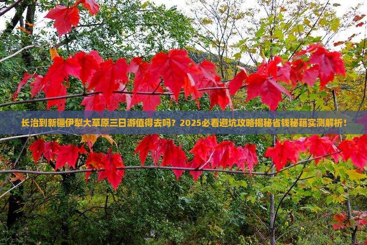 长治到新疆伊犁大草原三日游